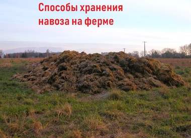 Способы хранения навоза